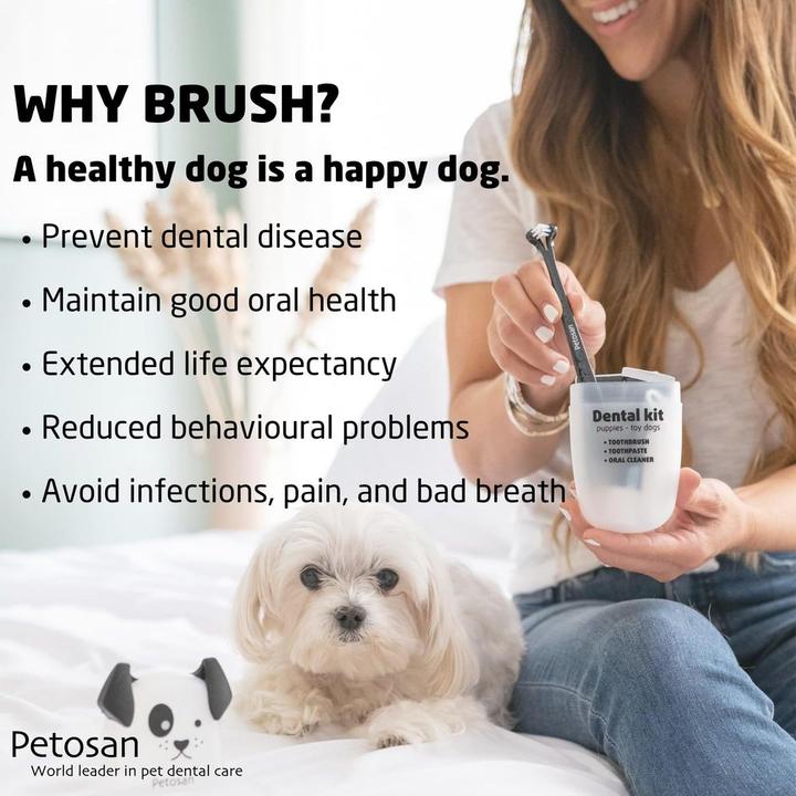 Actual product image Petosan Tooth cleaning Complete Kit S (Dog)