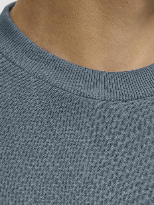Produktbild Jack & Jones Jjebradley Sweat Crew Noos (XS)