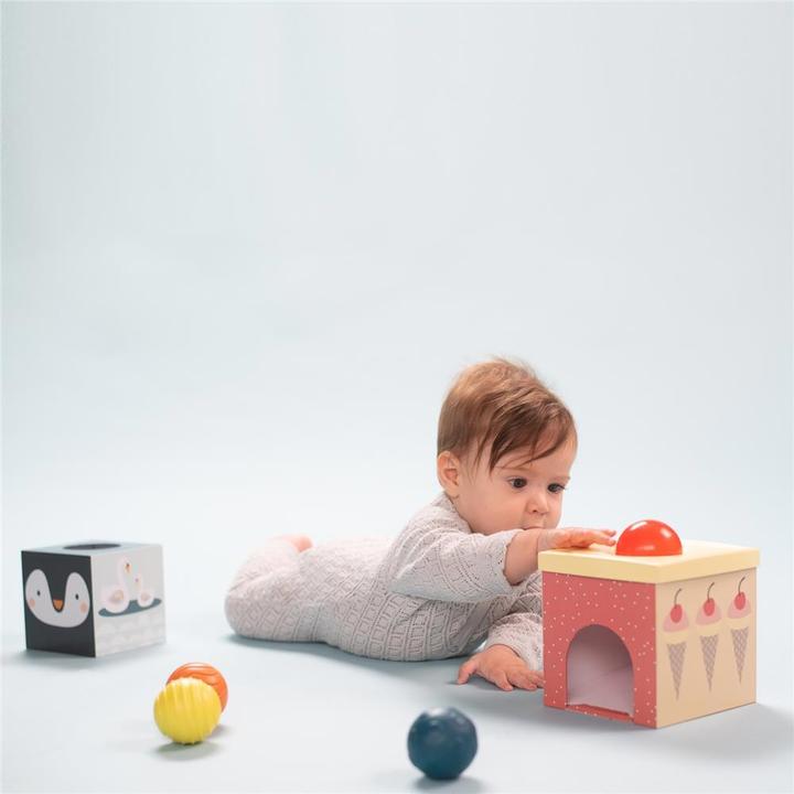 Image du produit Taf Toys Pôle Nord