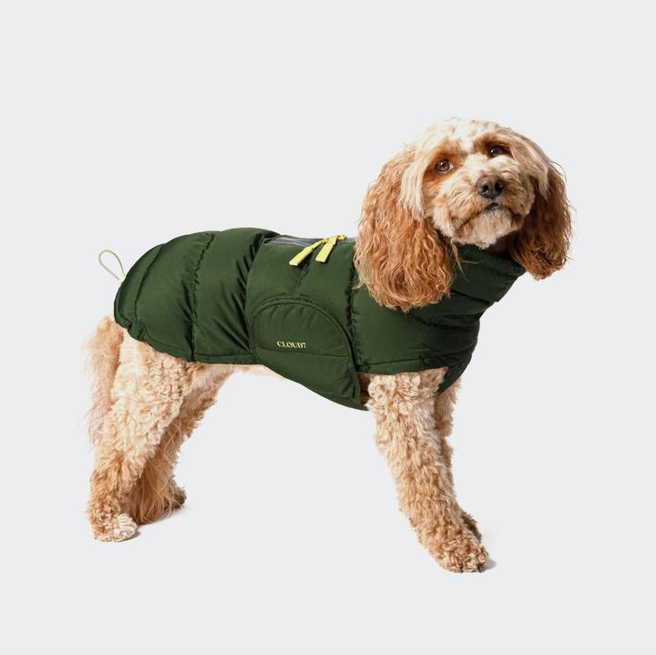 Cloud 7 Dog Coat Alaska - buy at Galaxus - Galaxus