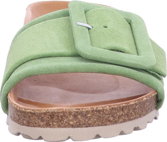 Image du produit Verbenas REIKO 3304020 Kelp (40)