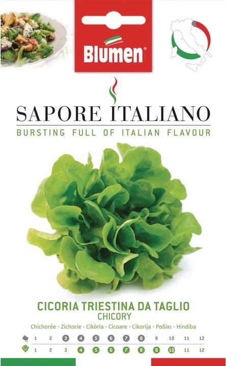 Immagine prodotto Blumen Cicoria Triestina da Taglio (Semi di verdura)