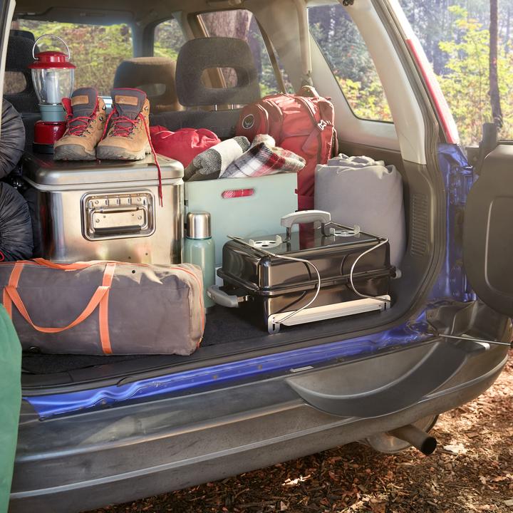 Actual product image Weber Go-Anywhere (42 cm)