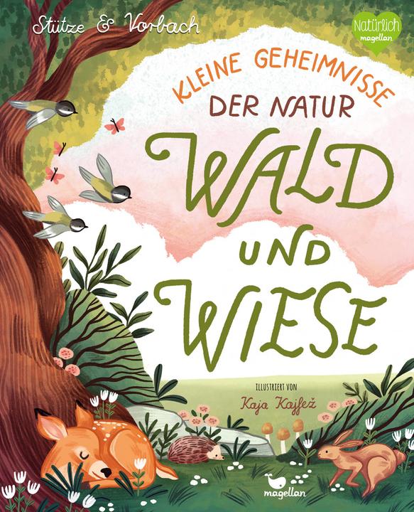 Produktbild Kleine Geheimnisse der Natur - Wald und Wiese (Deutsch, Kaja Kajfež, Stütze & Vorbach, 2022)