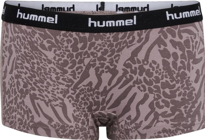 Image du produit hummel Hmlcarolina Hipsters 2pack (98, 104, lot de 2)