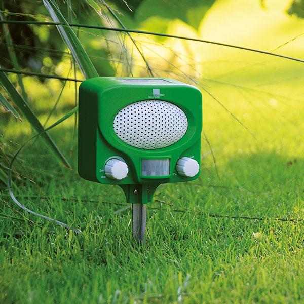 Actual product image Swissinno Marten & cat repellent