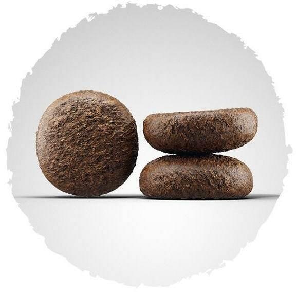 Immagine prodotto Josera Junior YoungStar (Junior, 1 pz., 12500 g)