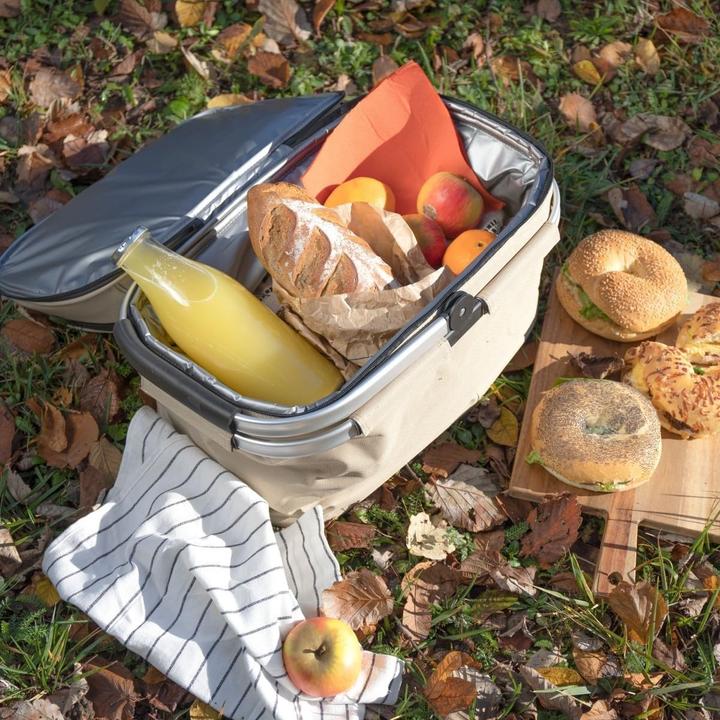 Immagine prodotto Livoo PicnicBag
