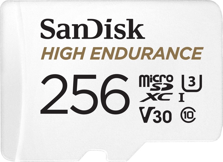 SanDisk High Endurance (256 Go, microSDXC, U3, UHS-I)