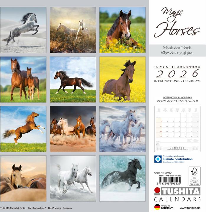 Produktbild Magic Horses 2026 (30x30cm)