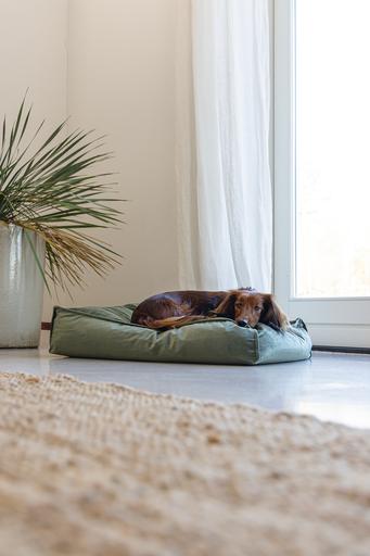 Actual product image Designed by Lotte Nalino (Dog)