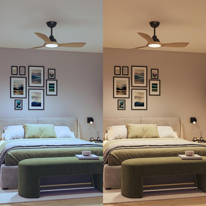 Immagine prodotto Philips Olas