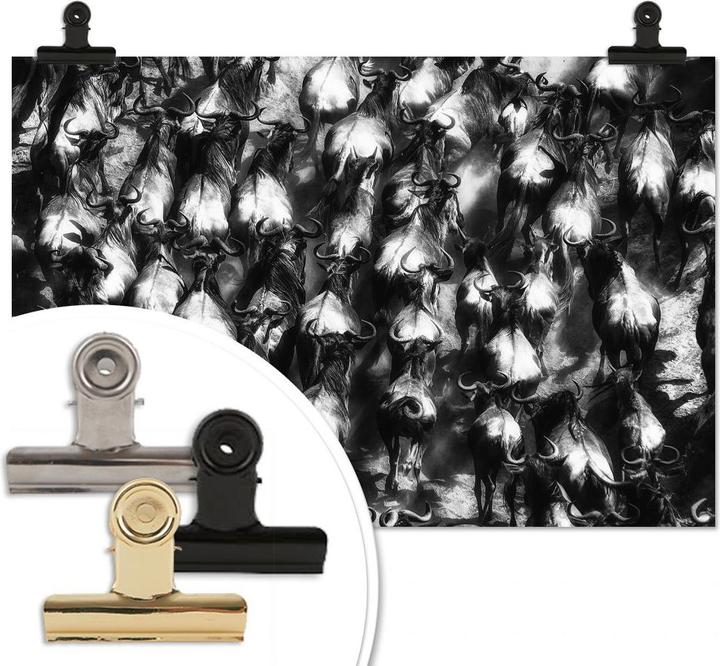 Produktbild Trenddeko Alnaser - Grosse Flucht (100 x 70 cm)