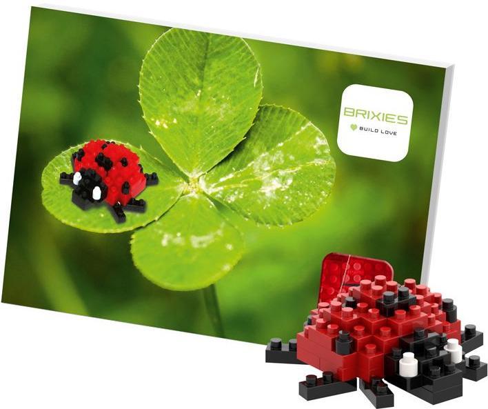 Actual product image Brixies Ladybug