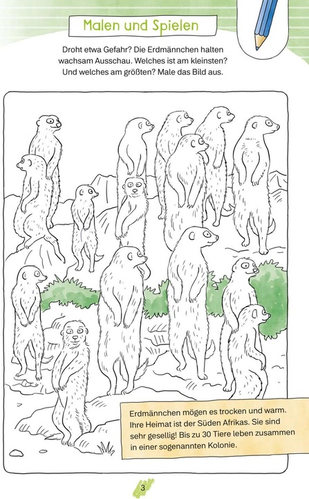 Produktbild Conni Gelbe Reihe (Beschäftigungsbuch): Mein megatolles Vorschulbuch (Deutsch, Hanna Sörensen, Ulrich Velte, 2023)