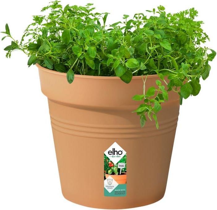 Produktbild Elho Green Basic (24 x 22 cm)