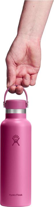 Produktbild Hydro Flask Standard Mouth with Standard Flex Cap (0.62 l)