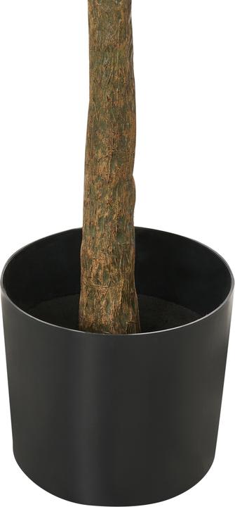 Immagine prodotto Beliani Cherry Tree (180 cm)