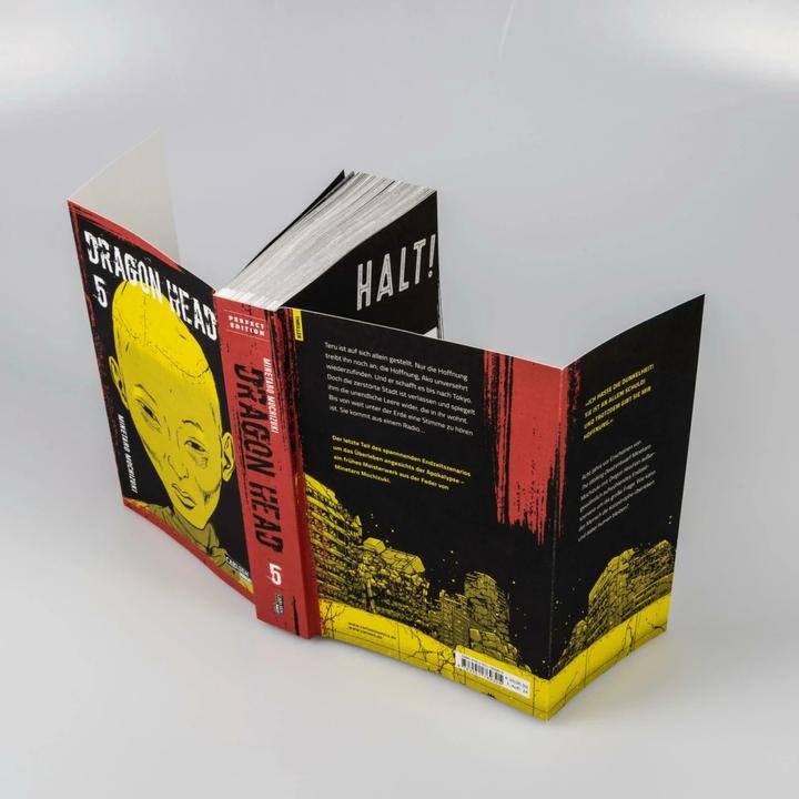 Produktbild Dragon Head Perfect Edition 5 (Deutsch, Martin Gericke, Minetaro Mochizuki, 2024)
