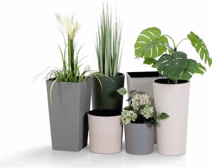 Actual product image Siena Garden ECO Locon (25 x 46.50 cm)