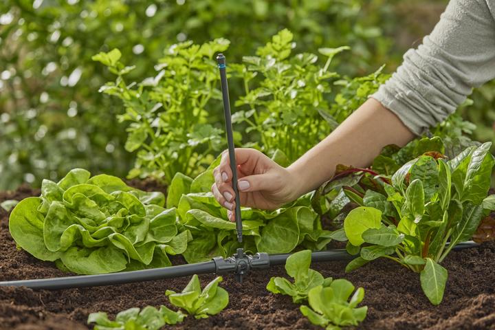 Immagine prodotto Gardena Tubo di prolunga del sistema a microgoccia (Tubo di gocciolamento + tubo di gocciolamento)
