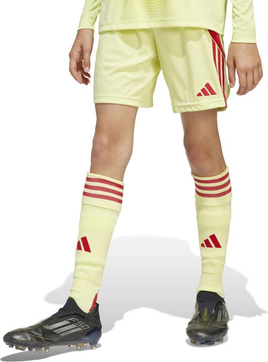 Actual product image adidas TIRO24 SHO Y (176)