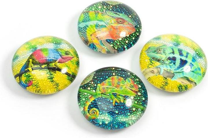 Produktbild Trendform Chameleon (4x)