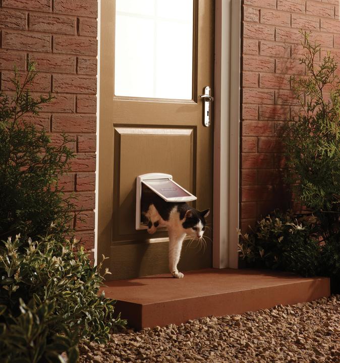 Image du produit PetSafe Staywell (Chatière manuelle)