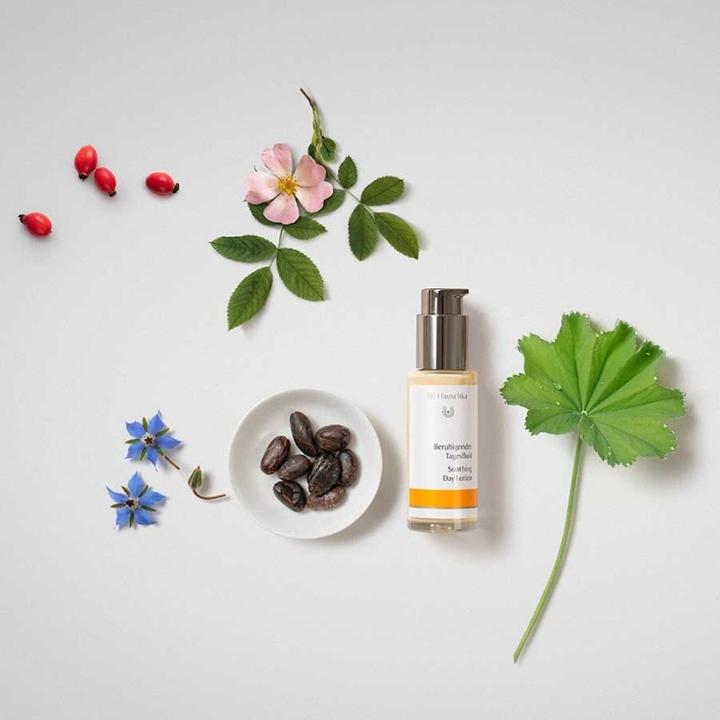 Actual product image Dr. Hauschka Soothing day fluid (50 ml, Day cream)