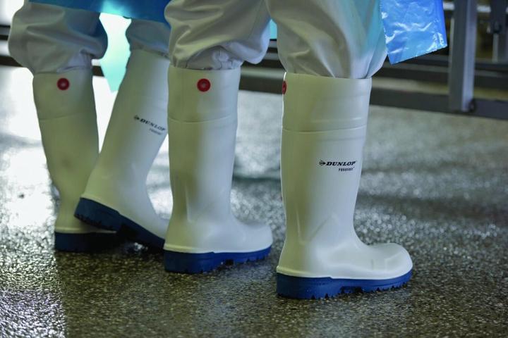 Actual product image Dunlop NIMWEGEN PU-STIEFEL Purofort® CA61131 (S4, 42)