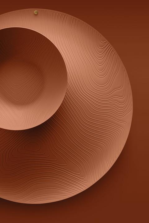 Actual product image Alessi Tray VENEER