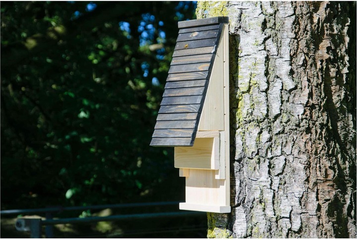 Immagine prodotto Dobar Bat box 19,5 x 14 x 53,5 cm