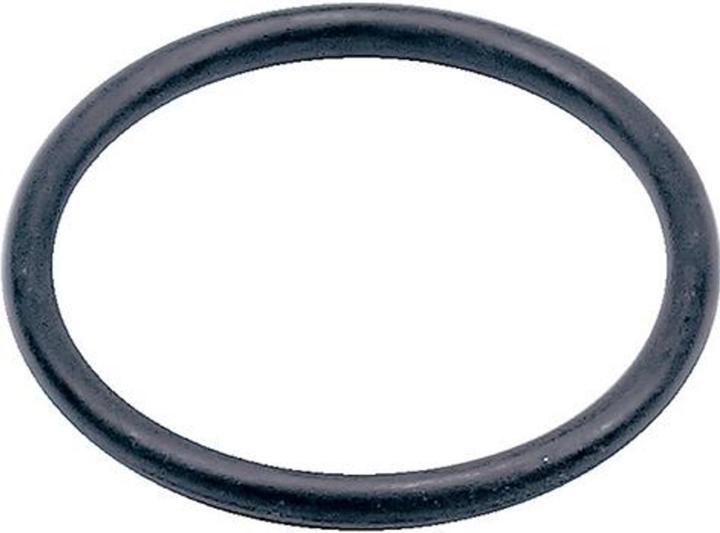 Gardena O-ring Valve box (O-Ring, 25.40 mm)