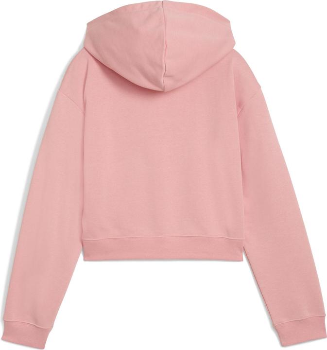 Actual product image Puma ESS 2 COLOR No. 1 Logo Short Length Hoodie TR G (164)