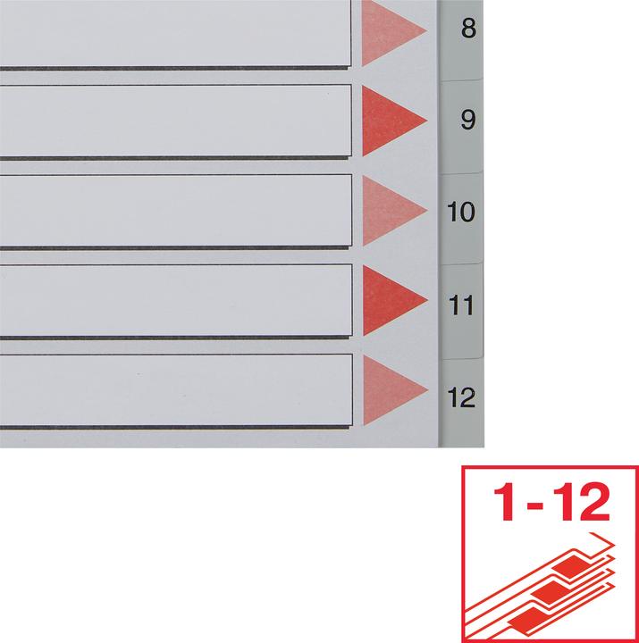 Image du produit Esselte Registre en plastique