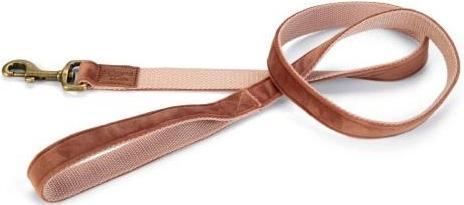 Produktbild Designed by Lotte Velura (Hund, Spazieren)