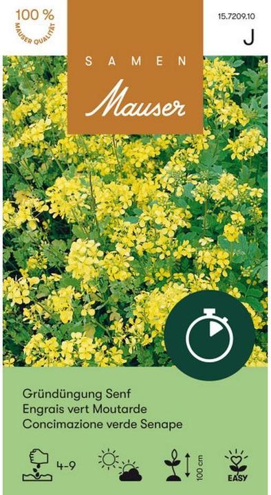 Produktbild Samen Mauser Kurzfristig