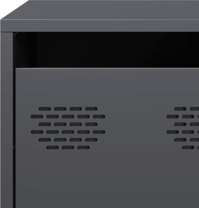 Actual product image vidaXL TV-Schrank