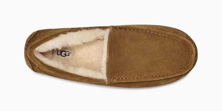 Produktbild Ugg Ascot Hausschuhe (45)