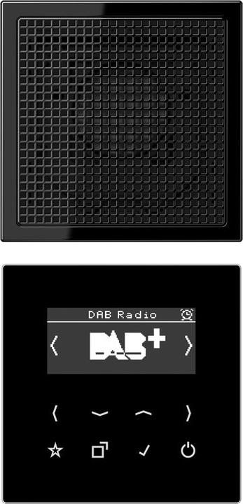 Productafbeelding JUNG DABLS1SW DAB+ Set Mono (DAB+, FM)