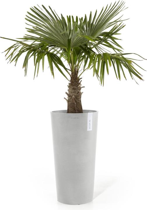 Actual product image Ecopots Amsterdam hoch (76 cm)