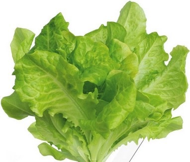 Image du produit Click and Grow Salade verte (Graines de légumes)