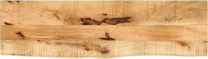 Image du produit vidaXL Tischplatte (100 x 20 cm)