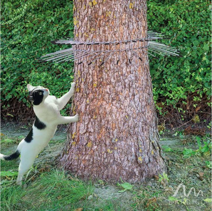 Actual product image Gardigo Cat repellent belt