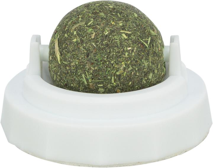Trixie Palla di erba gatta (Bocce)