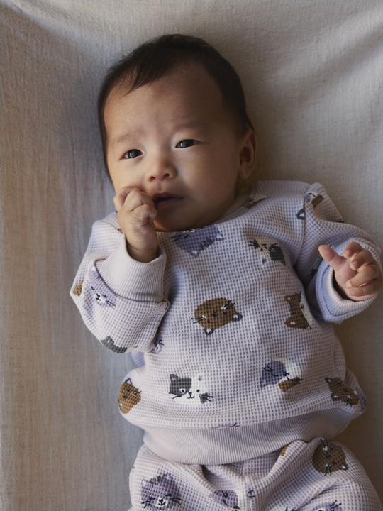 Produktbild Name it Bio-Baumwoll Sweatshirt (68)