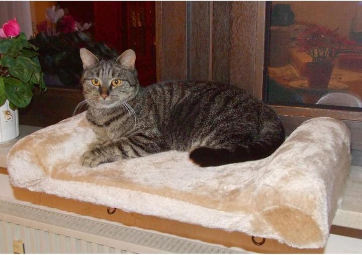 Produktbild Kerbl Fensterliegebrett (Hund, Katze)