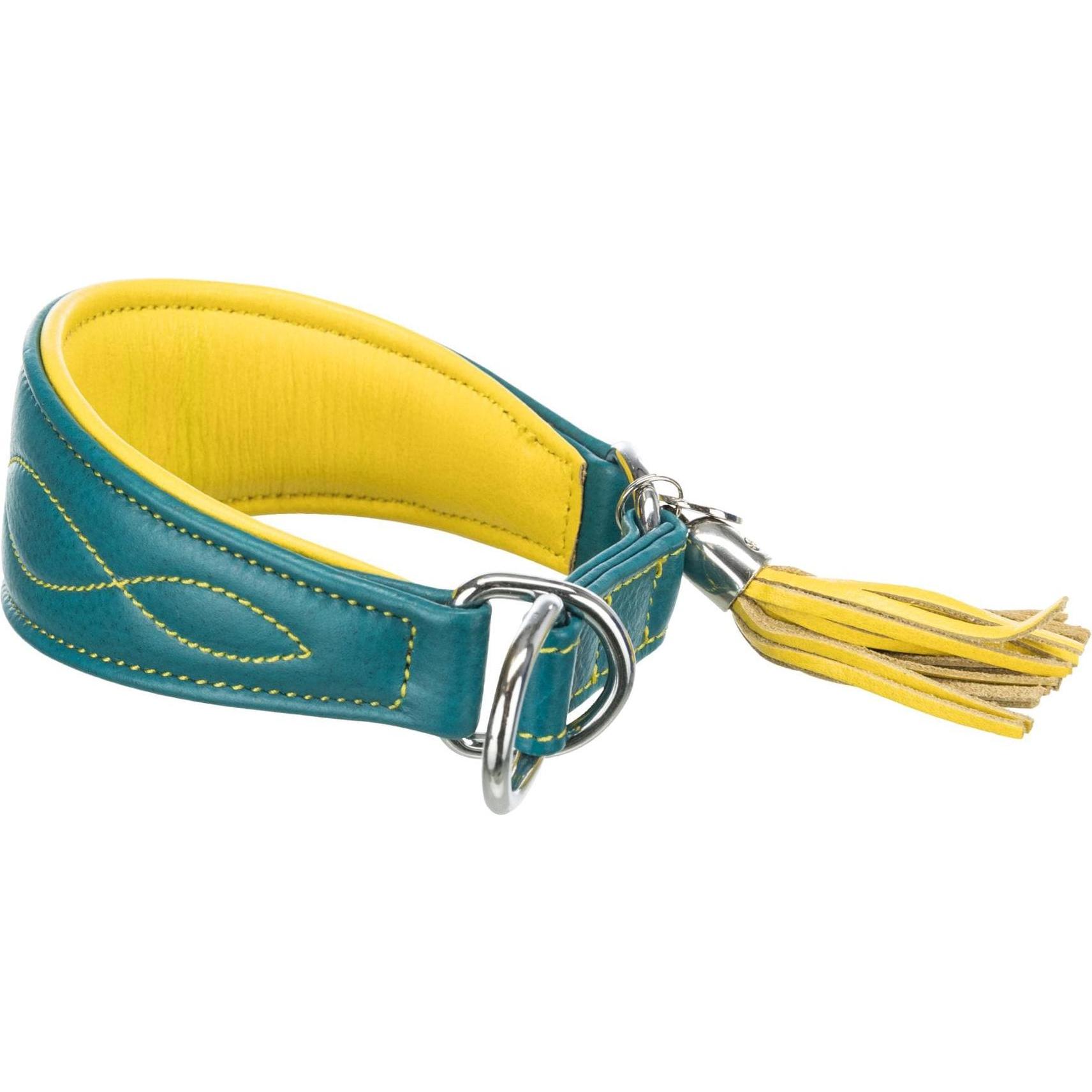 Trixie Halsband Active Comfort mit Zug-Stopp (S, Hund, Allgemein), Halsband + Leine