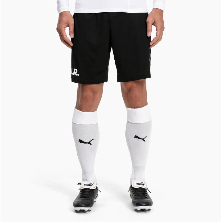 Actual product image Puma Team LIGA Socks-703438 (43 - 46)