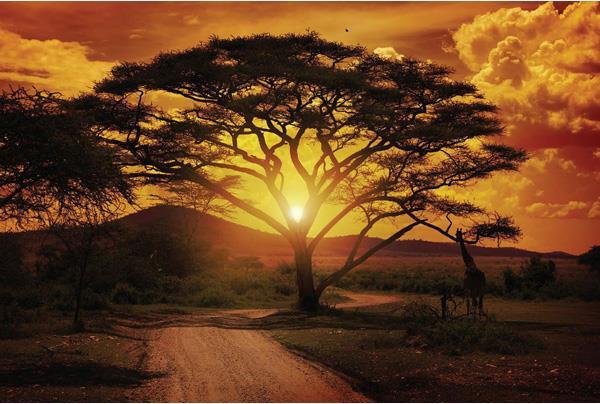 Eibert Visual Sunset Savanna (97 x 65 cm)